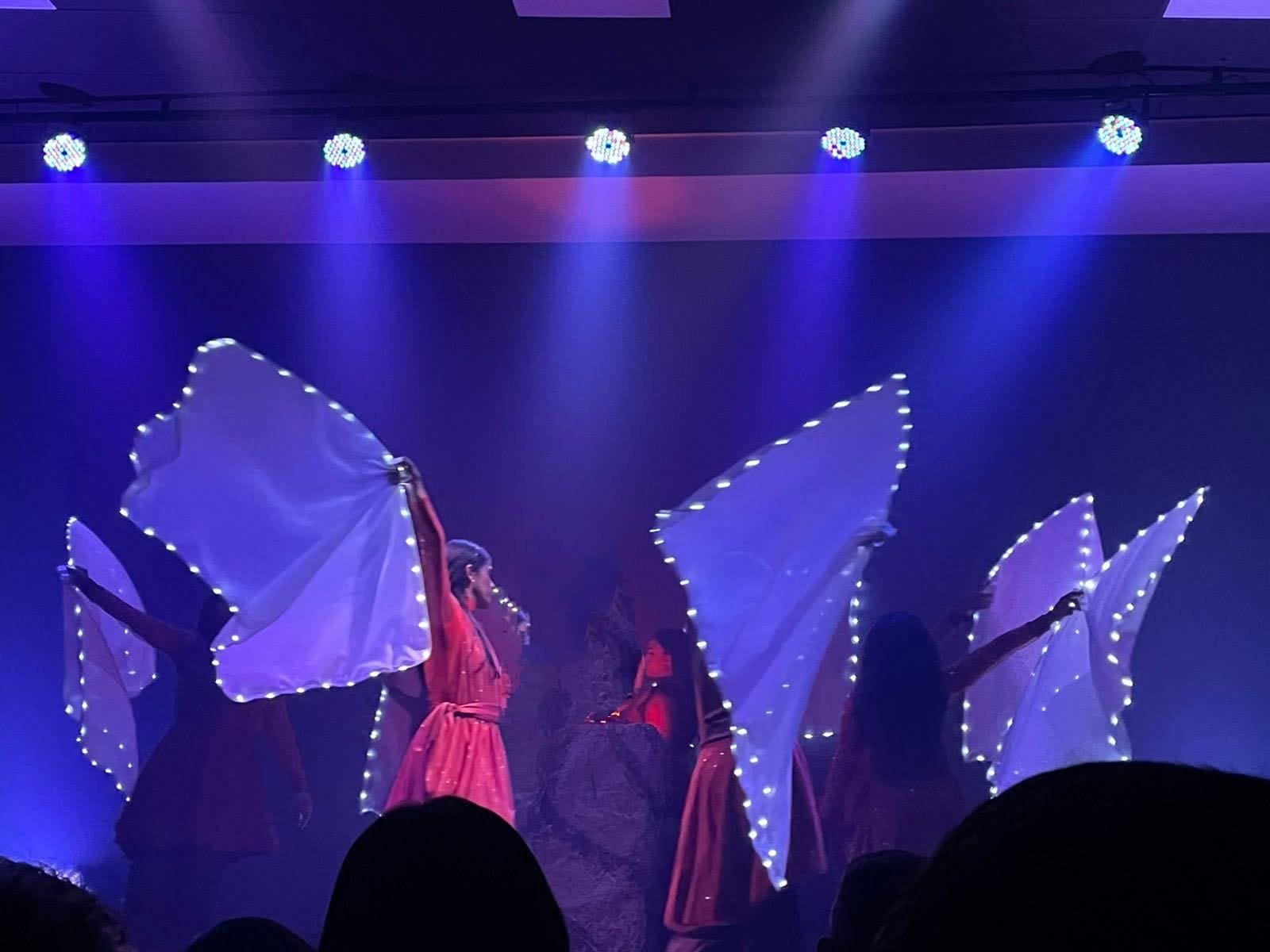 IMG 20241127 WA0017 - Roupas de Dança Ministerial - Estilo Dança