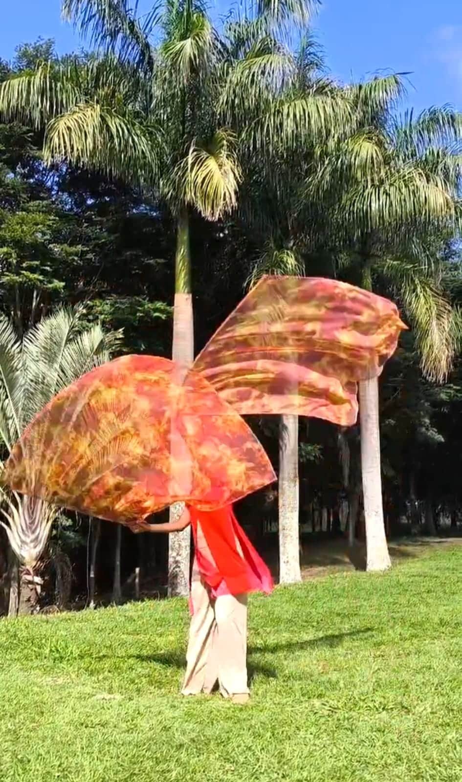 bandeira de fogo 1 - Roupas de Dança Ministerial - Estilo Dança